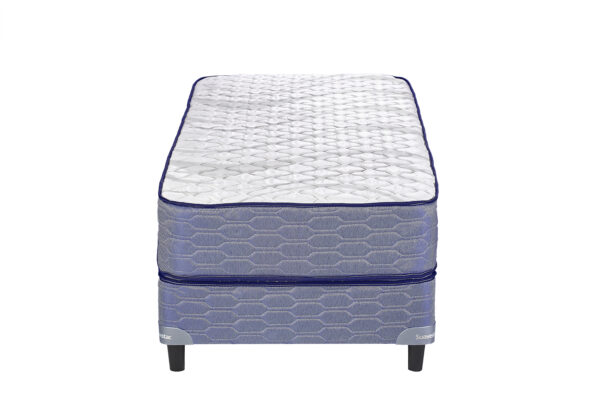 Juego Sommier Suavestar Floustar 1 1/2 Plaza 100x190